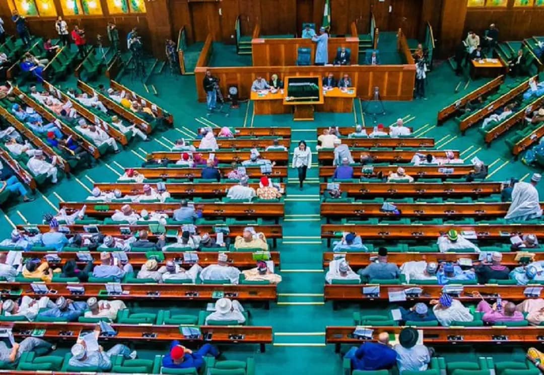 Reps seeks lift of ban on Benin, Togo educational certificates 