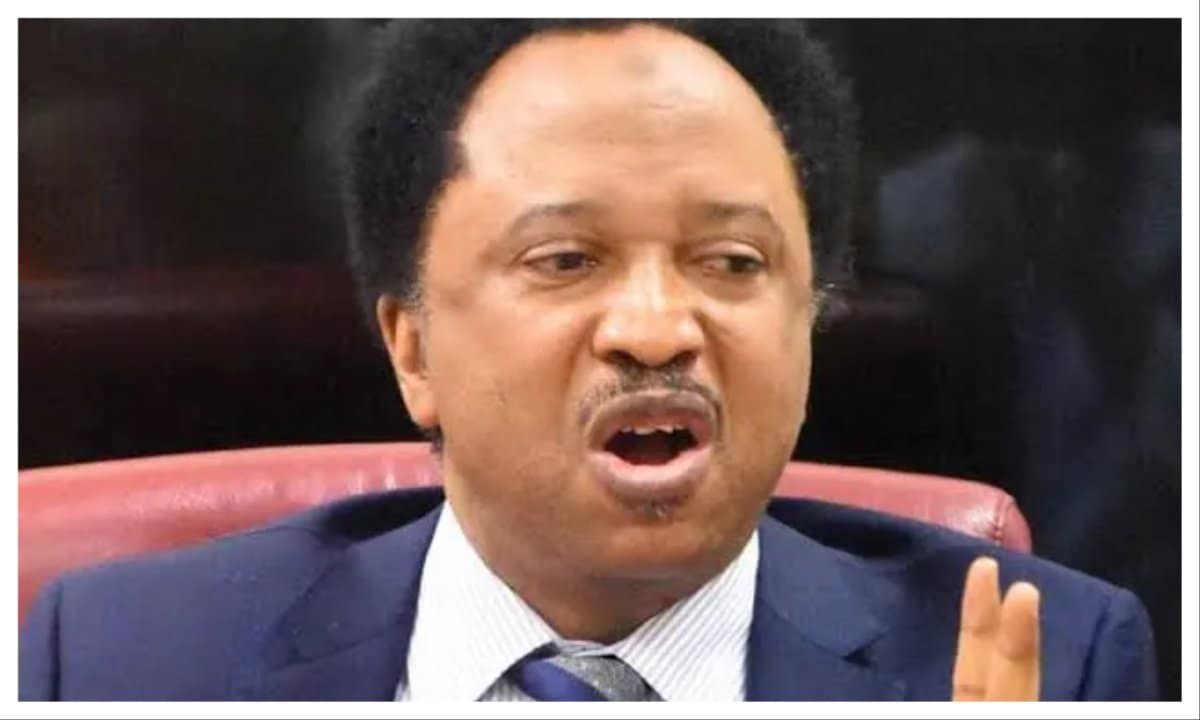 Shehu Sani links surge in terrorist attacks to 2027 election 
