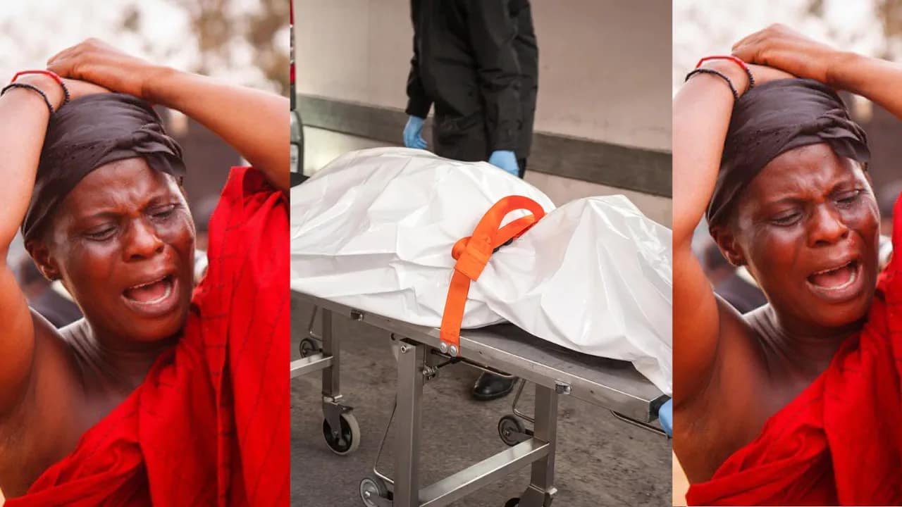 [#content_spinnerchief] 