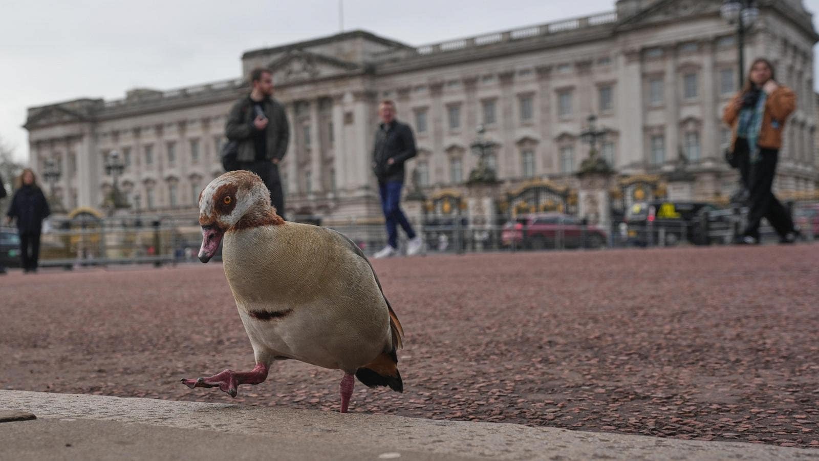 [#content_spinnerchief] 