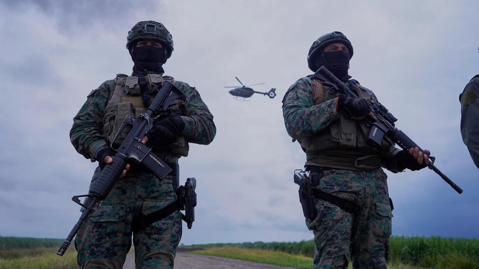 [#content_spinnerchief] 